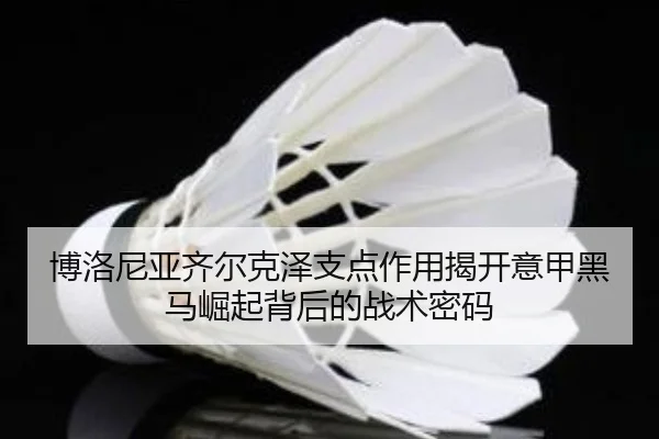 博洛尼亚齐尔克泽支点作用揭开意甲黑马崛起背后的战术密码（leyu）