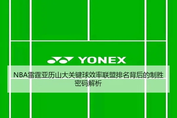 NBA雷霆亚历山大关键球效率联盟排名背后的制胜密码解析（leyu）