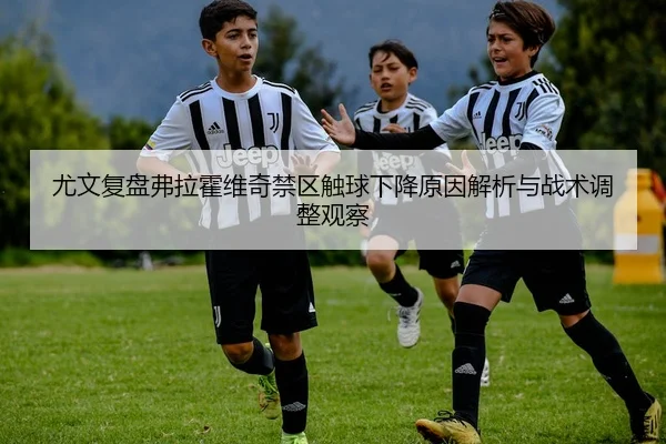 尤文复盘弗拉霍维奇禁区触球下降原因解析与战术调整观察