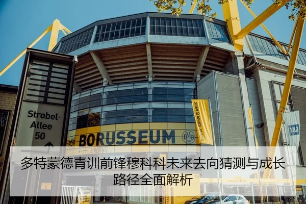 多特蒙德青训前锋穆科科未来去向猜测与成长路径全面解析 | leyu